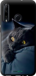 Чохол на Huawei Honor 10i Димчастий кіт "825b-1673-2448"