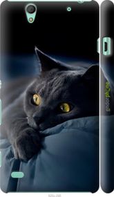 Чохол на Sony Xperia C4 E5333 Димчастий кіт "825c-295-2448"