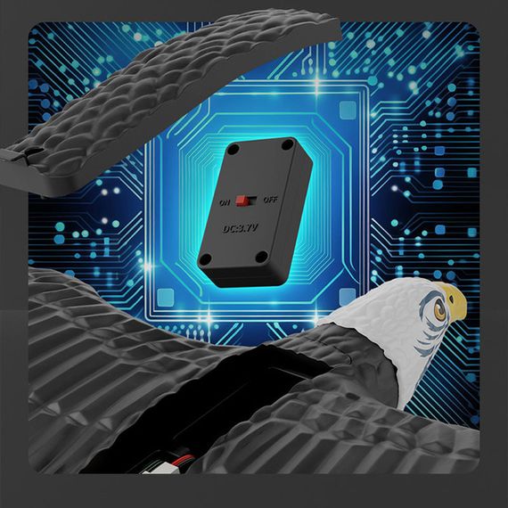 Самолет-птица на радиоуправлении SCHE HW40 Eagle Black | Зображення 3