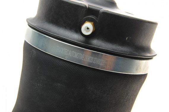 Подушка пневмопідвіски ззаду Mercedes Benz R-class W251 V251 06-14 02.30.384 | Зображення 1