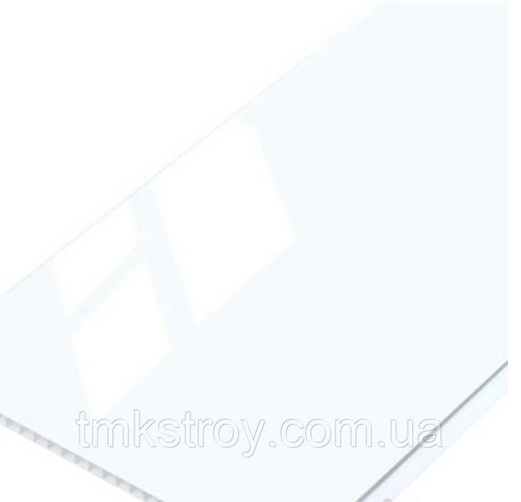 Панель пластиковая RIKO RL 3071 (белый лак) 250х3000/6000х8 мм 250×6000мм