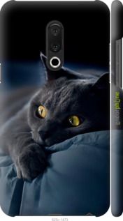 Чохол на Meizu 15 Plus Димчастий кіт "825m-1473-2448"