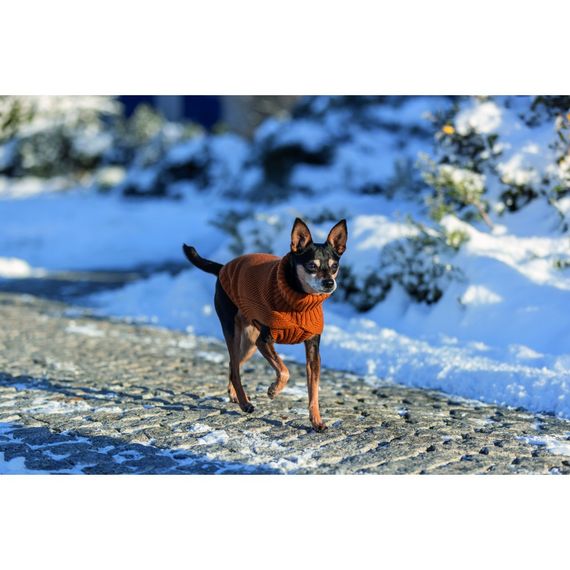 Светр Trixie CityStyle Berlin для собак помаранчевий XS 27 см | Зображення 4