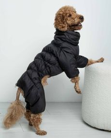 Зимовий комбінезон Comfort чорний R-52