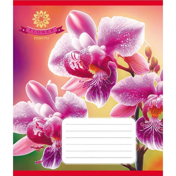 Зошит учнівський "Орхідея" 036-570137K-5 в клітинку, 36 аркушів