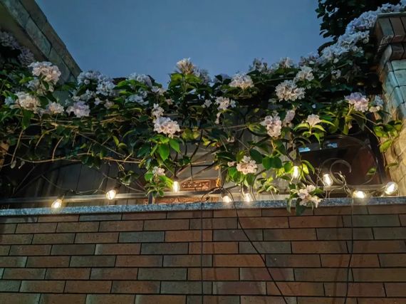 Декоративная гирлянда с солнечной панелью Ретро лампа SFK-13 Водонепроницаемые светодиодные лампы-гирлянда | Зображення 2