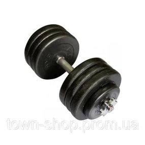 Гантель наборная 36 кг Home TI-968-745-36-1