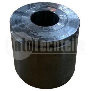 Поршень суппорта заднего Mercedes Benz Vario (Lucas), AutoTechteile, 100 4253, 4253