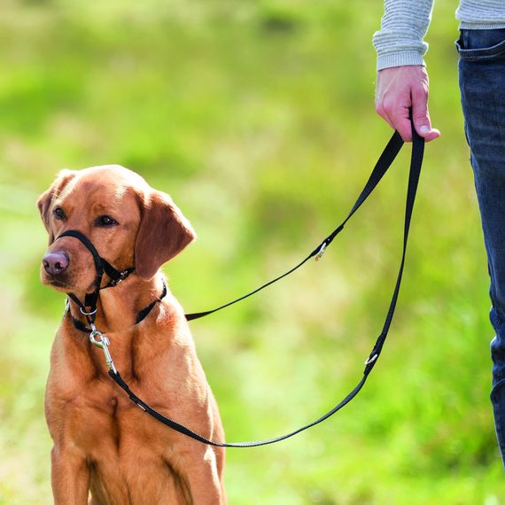 Шлея Trixie для собак тренувальна L чорна | Зображення 1