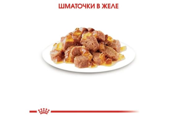 Влажный корм Royal Canin Sterilised wet in jelly для взрослых стерилизованных/кастрированных кошек, 85 г | Зображення 2