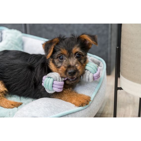 Іграшка Trixie Junior Rope Dumbbell для цуценят Гантель з канатом котон 15 см | Зображення 2