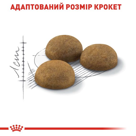 Сухий корм для довгошерстих котів, що живуть у приміщенні Royal Canin Indoor Long Hair, 400 гр | Зображення 3