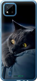 Чохол на Realme C11 2021 Димчастий кіт "825t-2485-2448"