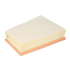 Воздушный фильтр для автомобиля Mann C25115