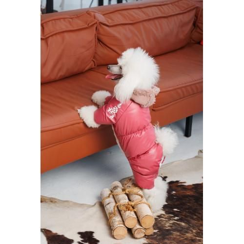 Комбінезон Pet Fashion Cherry S2 дівчинка для собак | Зображення 4