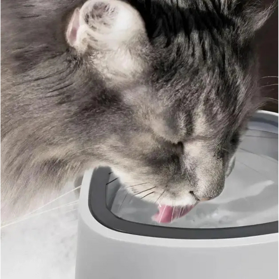 Універсальна миска-поїлка для собак і котів з міцного пластику з системою захисту від проливання і ковзання | Зображення 2