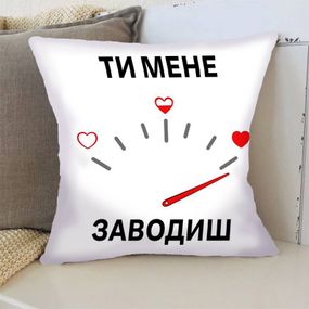 Подушка 3D Спідометр мого кохання 4393_E 17853 50х50 см