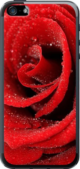 Чехол на iPhone SE Красная роза "529u-214-17620"