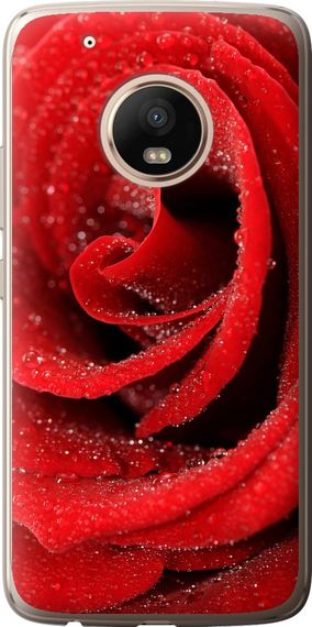 Чехол на Motorola Moto G5 PLUS Красная роза "529u-1038-17620"