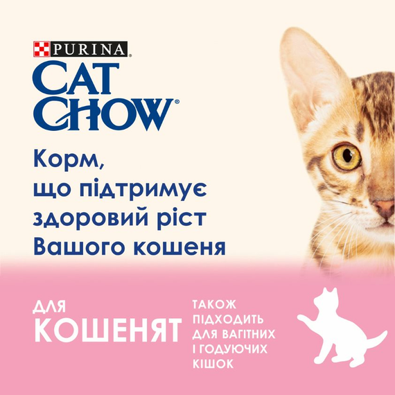 Влажный корм Cat Chow Kitten для котят с ягненком и цукини, нежные кусочки в желе (78х85г) | Зображення 3