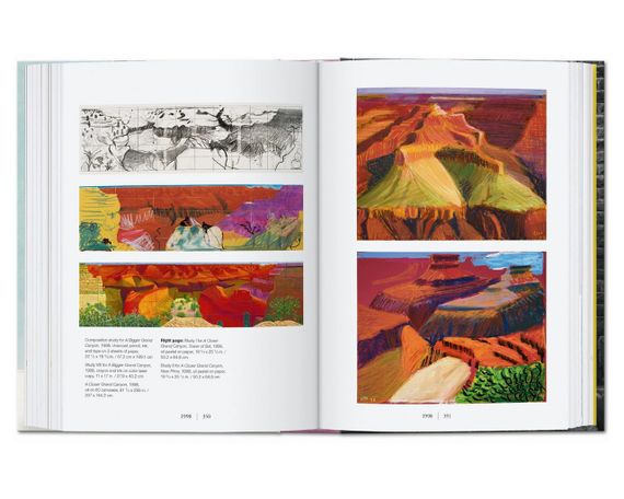 Книга найкращі сучасні художники живопис Девіда Хокни David Hockney: A Chronology. 40th Ed книги про мистецтво | Зображення 8