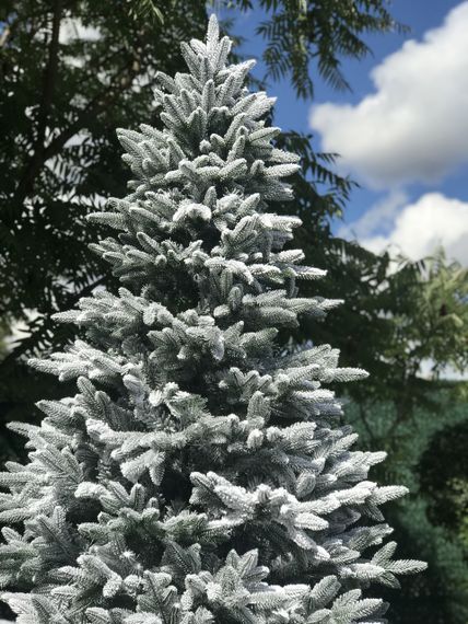 Ялинка лита Classic Mix 220 см засніжена | Зображення 5