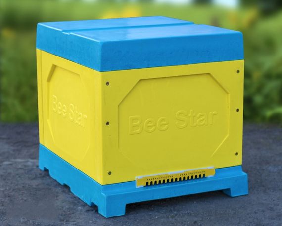Вулик ППУ “BeeStar” (1 корпус Дадан 300 мм 10 рамок) – кольоровий | Зображення 4
