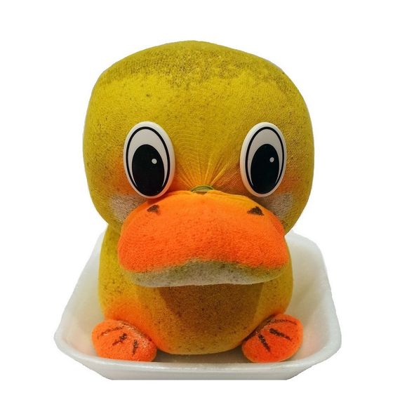 Трав'янчик каченя | Зображення 1