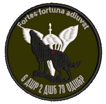 Шеврон 6ДШР 2ДШБ 79ОДШБр