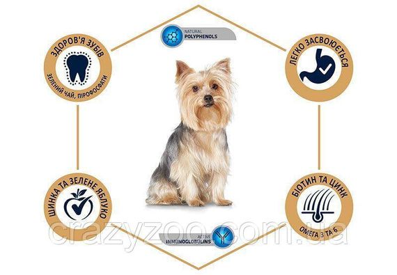 Сухий корм для Йоркширських тер'єрів Advance Dog Yorkshire з куркою та рисом 1.5 кг 8410650170480 | Зображення 1