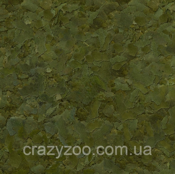 Корм для рыб Sera Flora Nature в хлопьях 22 г 45301 | Зображення 1