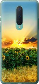 Чехол на OnePlus 8 Украина "1601u-1902-17620"