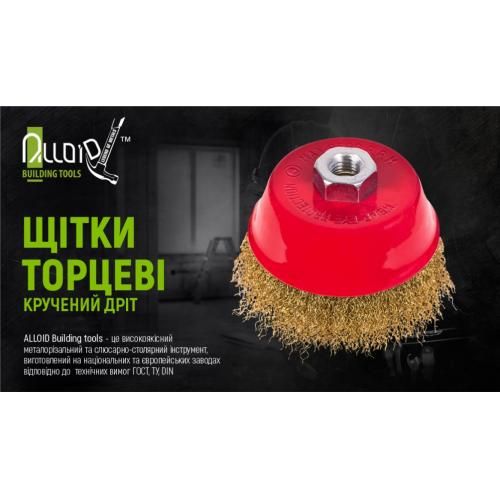 Щітка торцева "кручений дріт" 100мм, М14х2 Alloid | Зображення 1