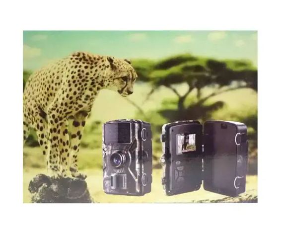 Міні відеореєстратор для полювання на батарейках, IP66, DL-001 / Мисливська відеокамера / Фотопастка для полювання | Зображення 1