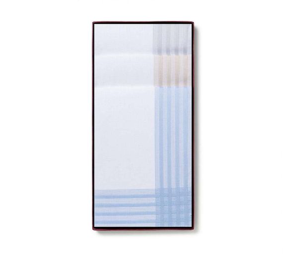 Чоловічі носові хустинки Guasch 104.92 D.12