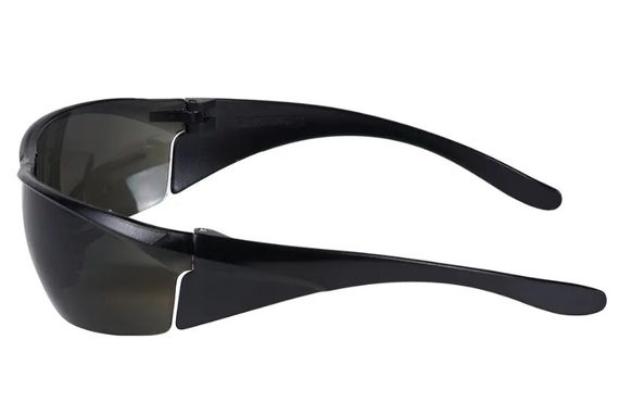 Окуляри DeWalt Structure (DPG93-2D) | Зображення 1