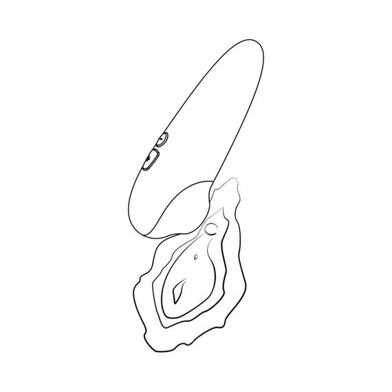 Вакуумный клиторальный стимулятор ROMP Shine X, розовый sexstyle | Зображення 6