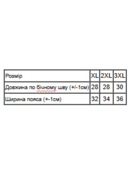 Труси для хлопчика (підліткові) Носи своє 158 Темно-синій (p-17768-209367) | Зображення 1