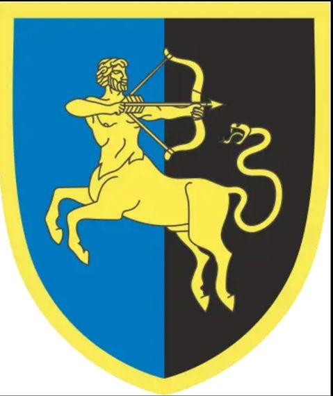 Шеврон 141 ОСБ | Зображення 2