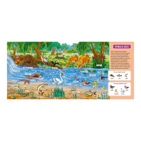 Мой первый словарик "В лесу" Ранок 116032 с окошками | Зображення 2