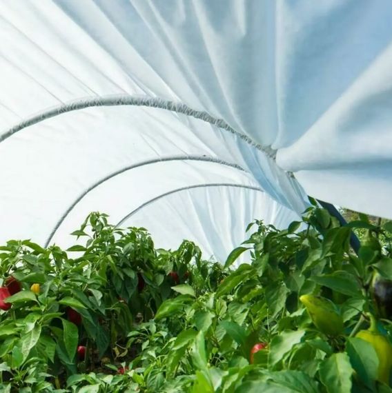 Парник Агро-Лідер 50 г/м2 для дачі 15 м ПАВ00014 | Зображення 1