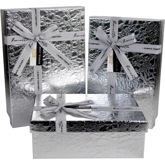 Подарункова коробка Срібний блиск 1103420213 shop (5750000230888)