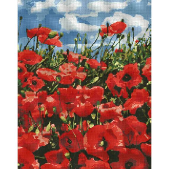 Алмазна мозаїка "Дивовижні маки" Ідейка AMO7056 40х50 см