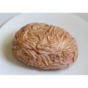 Муляж Фарш куриный