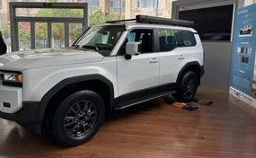 Бокові пороги (2 шт) для Toyota Land Cruiser Prado 250 2023- рр