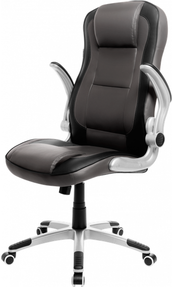Кресло геймерское GT Racer B-2555 Gray | Зображення 6