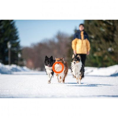 Игрушка для собак Collar PitchDog Кольцо для апортировки 28 см оранжевое (62384) | Зображення 5