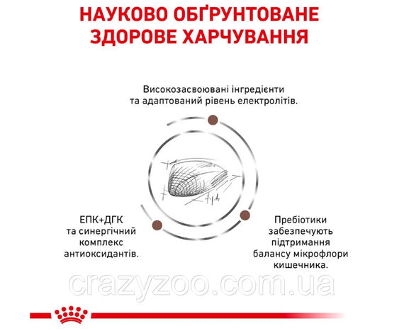 Сухий корм для котів Royal Canin Gastro Intestinal 400 г 39050041 | Зображення 2