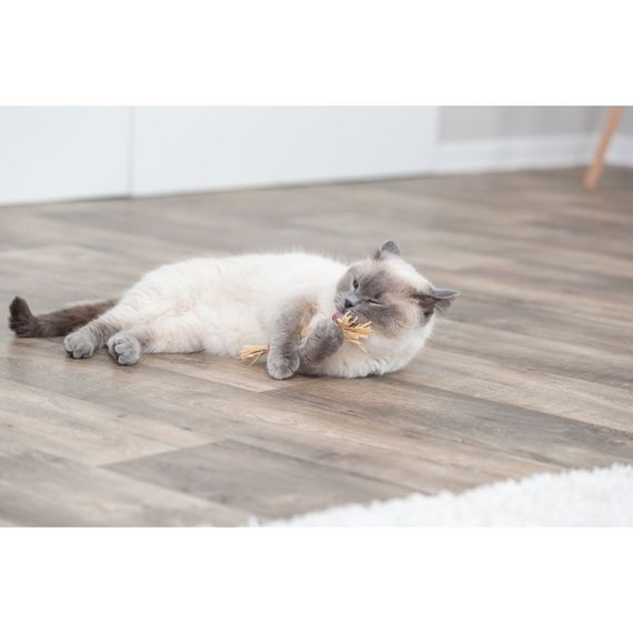 Іграшка Trixie для котів Палиця з мататабі з китицями 24 см | Зображення 2