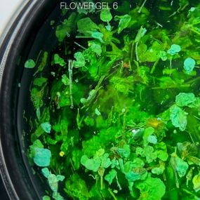 Гель с сухоцветами SAGA Flower Gel №06 5мл